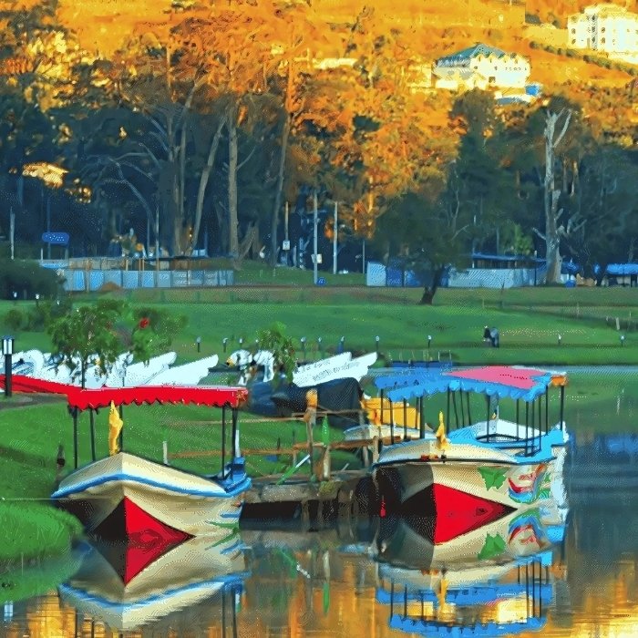 Discover Sri Lanka in 6 Dyas