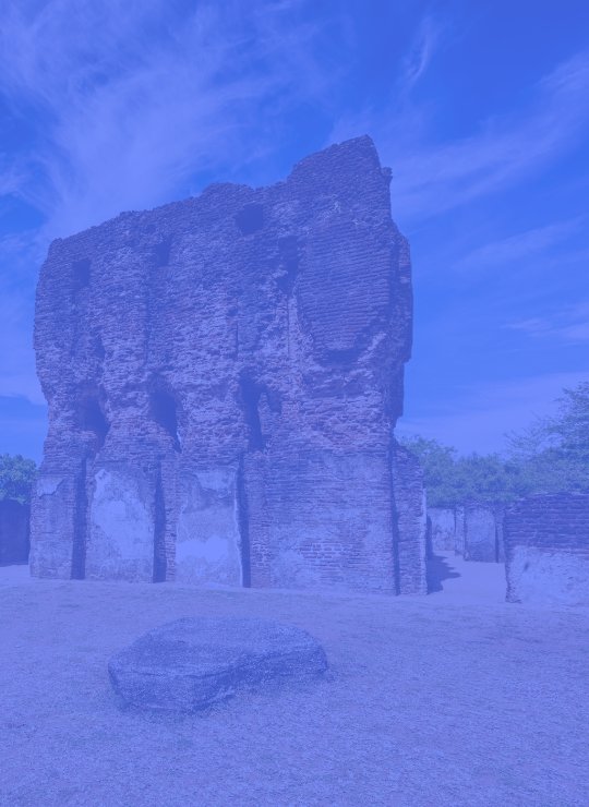 الجولات الثقافية والتراثية