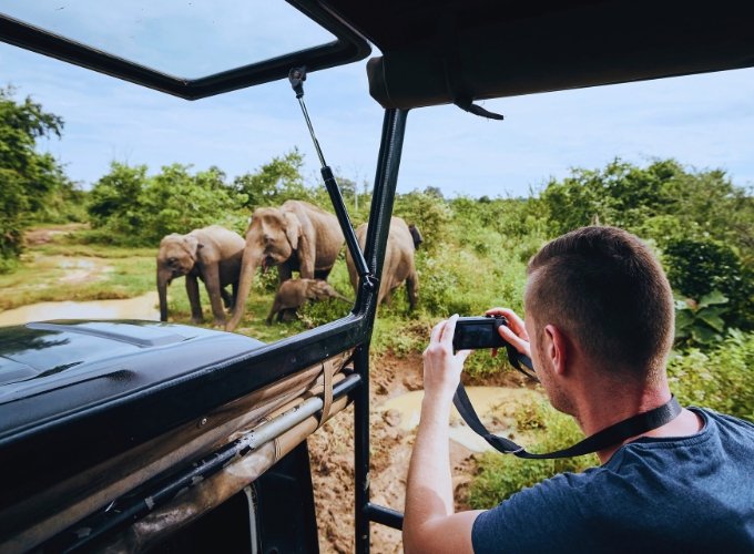 Yala National Park Safari: Unforgettable Leopard Spotting & Thrilling Wildlife Adventures in Sri Lanka