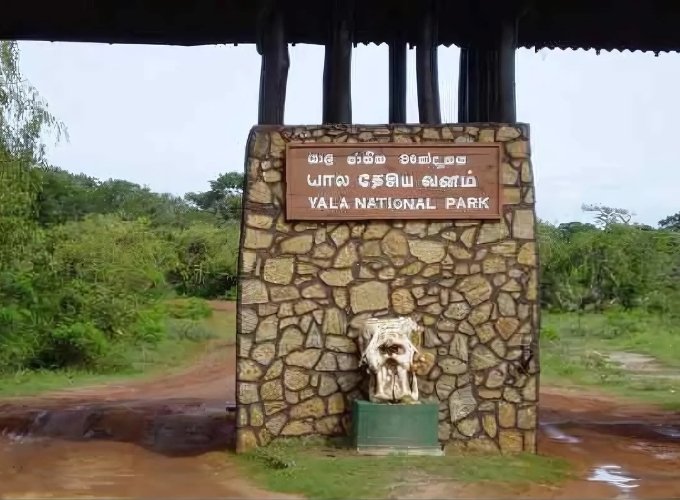 Yala National park sri lanka